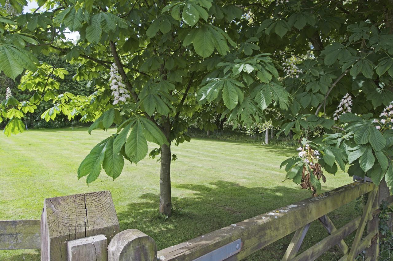 Marsh House Farm Bed and Breakfast Wellington  Εξωτερικό φωτογραφία
